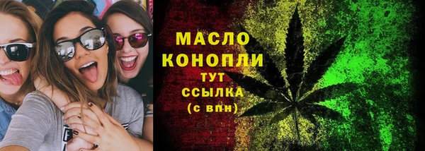 молекула духа Щигры