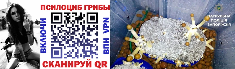 Галлюциногенные грибы мухоморы Туран